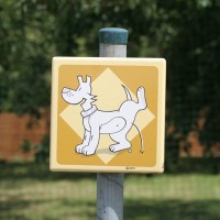 犬が人に『おしっこ』をかける理由3つ　やめさせたい場合の適切なしつけ方法とは？