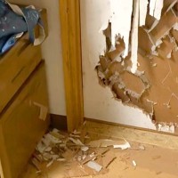 ボロボロに破壊されたドアを発見→すぐ近くにいた犬に『誰がしたん？』と聞いた結果…まさかの態度が151万再生「許しちゃうｗ」「表情たまらん」
