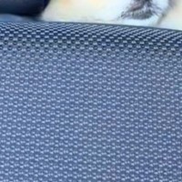 車の助手席に座っていたら、後頭部から『フンッ』と鼻息が聞こえてきて…後ろを見た瞬間の『尊い光景』に反響「かわいすぎる」「たまらない」