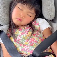 4歳の女の子と目いっぱい遊んだ大型犬→帰りの車内で、ふたり同時に…疲れすぎて見せた『尊すぎる光景』に悶絶「なんて可愛い」「幸せな寝顔」