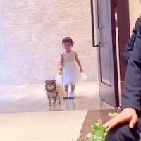 小さな女の子と犬が『新郎新婦に指輪を届けようとした』結果→扉が開いた瞬間に…まさかのハプニングが96万再生「可愛いが渋滞」「尊くて涙…」
