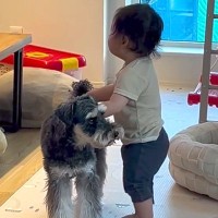 赤ちゃんが『散歩から帰ってきた犬』に近づいた結果→『何をするのかな』と撮影していたら…まさかの光景が38万再生「この歳で！」「面白すぎ」
