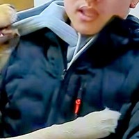仕事の面接に来た男性→なぜか『大型犬』に好かれ過ぎて…まさかの『面接どころではない光景』が135万再生　アピールが止まらない姿にほっこり