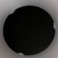 筒の中に『カメラを仕込んでみた』結果→犬が覗いてきて…とんでもなく愛おしい光景が41万再生「壁紙にしたいレベル」「反則すぎるｗ」と絶賛