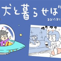 犬と暮らせば【第548話】「続・エマとサッカーと私2026」