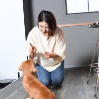 『しつけができていない犬』の特徴５選　改善すべき問題行動や考えられるリスクまで