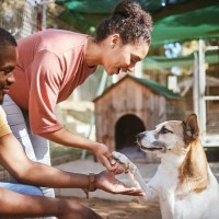 犬の『里親詐欺』とは？犯罪に巻き込まれないためにはどうしたらいいの？必ず知っておくべきことまで