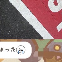 夫から突然のLINE→写真を開くと、散歩中の犬が…想像の上をいく『まさかの光景』に11万いいねの大反響「守ってて草」「指示通りｗｗ」