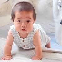 赤ちゃんが『ハイハイの練習をした』結果→大型犬がそばで見守って…相思相愛な『愛に溢れた光景』に反響「優しいお姉ちゃん」「ずっと見てたい」