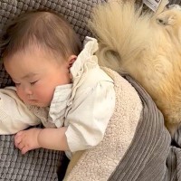 赤ちゃんが『生まれた瞬間から犬と一緒に育った』結果→四年後…泣けるほど素敵な『成長記録』と『現在』が14万再生「ジーンとする」「優しい」