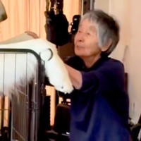 おばあちゃんの横で立ち上がった『1歳の超大型犬』→もはや目の錯覚レベルな『規格外のデカさ』が35万再生「AIかと思ったｗｗ」「熊かな？」