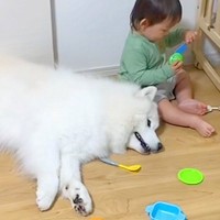 突然、小さな男の子が叫んだ結果→寝ていた大型犬が『怒られた』と勘違いしてしまい…愛おしい光景が37万再生「優しい」「どっちも純粋だなあ」