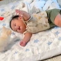 赤ちゃんと極小子犬が『同じように育った』結果→一緒に大きくなっていって…涙溢れる『成長の軌跡』が438万再生「まるで相棒」「幸せの渋滞」