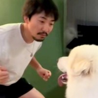 元柔道部の男性が『34キロの超大型犬』に戦いを挑んだ結果→想像の斜め上をいく『技アリの一本』が18万再生「反則で草」「大爆笑したｗｗ」