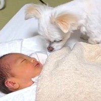 赤ちゃんと犬が『初めて出会った日』から振り返ってみたら…あまりにも愛おしい『成長記録』が10万再生「可愛いにもほどがある」「ほっこり」