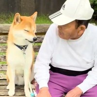 公園でおじいちゃんに遭遇した犬→隣に座ったと思ったら…離れたくなくてみせた『微笑ましい光景』が5万再生「居心地いいもんね」「可愛すぎ」