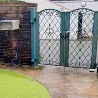 大雨の日『大型犬がどこにもいないな』と思い、探した結果→お庭で発見して…『まさかの光景』が129万再生「サイズ感おかしいｗ」「シュール」