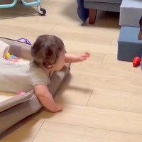 生まれた時からずっと犬と過ごしてきた赤ちゃん→一緒に成長して…素敵すぎる『遊び方の変化』が660万表示「ワシが育てた」「教育に良さそう」