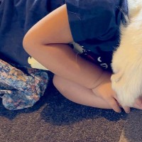 3歳の女の子と超大型犬が『一緒にお昼寝した』結果→とんでもなく愛おしい『寝かしつけの方法』に4万いいね「ホールドｗ」「愛が溢れてる」