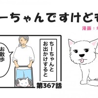 ちーちゃんですけどもっ【第367話】「飼い犬の影に隠れる私の存在」