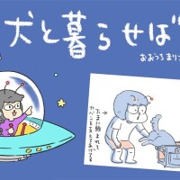 犬と暮らせば【第549話】「夏のリズム」