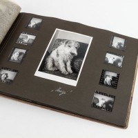 愛犬を亡くしてしまったら…ペットロスを乗り越える方法5つ　重症化させないために知っておくべきことまで