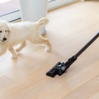 犬が『恐怖』を感じるモノとは？愛犬が怖がっているときにみせるサインや安心させる方法まで