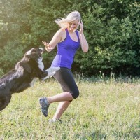犬が飼い主に『突進』する3つの理由　体当たりをしてくるのはなぜ？やめさせるべき？