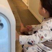 1歳の男の子が『ドライヤーハウスで体を乾かす犬』を発見→『助けなきゃ』と心配して…尊い行動と『成長した光景』に反響「兄弟愛が素敵すぎる」