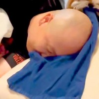 パパの枕にタオルを敷いた結果→なぜか犬が大急ぎでやってきて…まさかの『無慈悲すぎる行動』に3万いいね「想像以上の激しさだったｗ」と爆笑