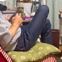 父がスマホを操作していたら、犬が『おやつほしい』とおねだりをして…空気を読み過ぎている『訴え方』が9万再生「首の角度ｗ」「控えめで草」