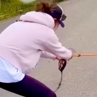 体重43キロの秋田犬が散歩拒否→後ろの『田んぼ』に入りそうになり…絶対に阻止したい母との『本気の戦い』が207万再生「スクワットで草」