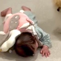 赤ちゃんが一生懸命にハイハイをすると『心配性の犬』が…いつまでも見ていたい『約1年間の成長記録』が198万再生「最高」「ステキな兄妹」