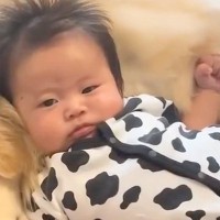 赤ちゃんが大型犬と『生まれた時から一緒に育った』結果→3歳になり…あまりにも尊い『相棒のような光景』に反響「仲良しさん」「最高の癒し」
