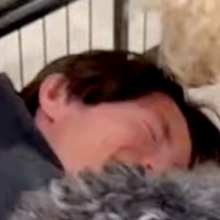 大型犬カフェにバイト採用された青年→初日、働く様子を撮影したら…あまりにも向いていない光景が397万再生「大人気ｗｗ」「幸せそうで草」
