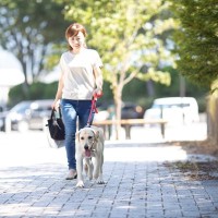 夏に『犬を散歩させる』ときの絶対NG行為5選　飼い主の判断ミスが命に関わる重大なトラブルを引き起こすことも…