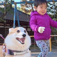 男の子が『犬と一緒に散歩に出かけた』結果→帰宅後…微笑ましすぎる『お出かけ後の差』に1万いいね集まる「連動してて可愛い」「疲れてるｗ」
