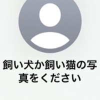 スマホで知らない人から『犬か猫の画像ください』のメッセージ→試しに愛犬を送ってみたら…『驚きの展開』が289万再生「素敵」「平和で好き」