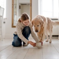 犬の『飲み水』を交換する適切な頻度とは？毎日変えた方がいいの？間違った飲ませ方まで