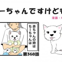 ちーちゃんですけどもっ【第368話】「今はいまで」