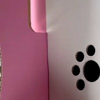 赤ちゃん犬を飼った初日→『不安になってないかな』と、箱の中を覗いた結果…予想外すぎた『衝撃の光景』が128万再生「可愛すぎ」「天使？」
