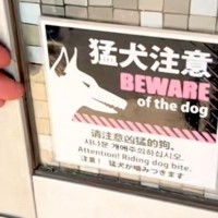 入口に『猛犬注意』の張り紙→扉を開けてみると…思いがけない『まさかの光景』に爆笑「確かに危険、仕事の時間を奪われる」「逆に猛犬ｗｗ」