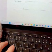 『絶対に仕事をさせたくない犬』VS『作業したい飼い主』→思わず笑ってしまう『静かな攻防戦』に絶賛「べーってするのたまらん」「可愛いｗ」