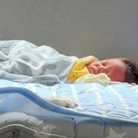 赤ちゃんが寝ている間に『お昼ごはんを食べた』母親→ふと様子を見ると、大型犬が…とんでもなく尊い光景が97万再生「母性溢れてる」「愛おしい」