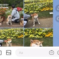 親から100件近くのLINE→『何かあったのかも』と焦り、確認すると…予想外すぎた『まさかの内容』に絶賛「ニヤニヤした」「可愛くて幸せ」
