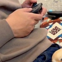 病院に連れて行かれた犬→帰宅後、まだ根に持っていて…『完全に拗ねている光景』が可愛すぎると3万いいね集まる「病院は疲れるよね」「可愛い」