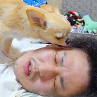 休日の朝、まだ眠いので『四度寝』した結果→犬が『起きてよ！』とブチギレて…微笑ましい『攻防戦』が106万再生「可愛い」「笑い止まらんｗ」