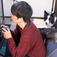 ゲームに夢中なパパに『構ってアピール』をした犬→ヤキモチを妬いてしまい…まるで彼女のような『可愛すぎる態度』が16万再生「愛を感じる」
