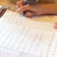 男の子が友達と『勉強会』をした結果→家にいた大型犬も参加して…『絶対に勉強にならない光景』が12万再生「嬉しそう」「テンションの差がｗ」