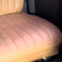 車の後部座席に大型犬を乗せた結果→なぜか『狭い場所』がお気に入りで…まさかの『乗車スタイル』に反響「体幹がスゴイ」「狭くないかい？ｗ」